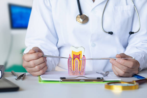 Best Emergency Dental Services for Seniors in Jefferson City, MO